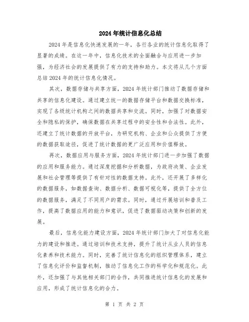 2024年统计信息化总结