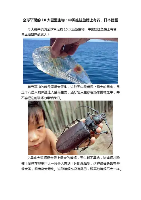 全球罕见的10大巨型生物：中国娃娃鱼榜上有名，日本螃蟹