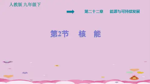 九年级物理下册习题课件-22.2   核 能-人教版优质课件PPT