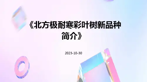 北方极耐寒彩叶树新品种简介