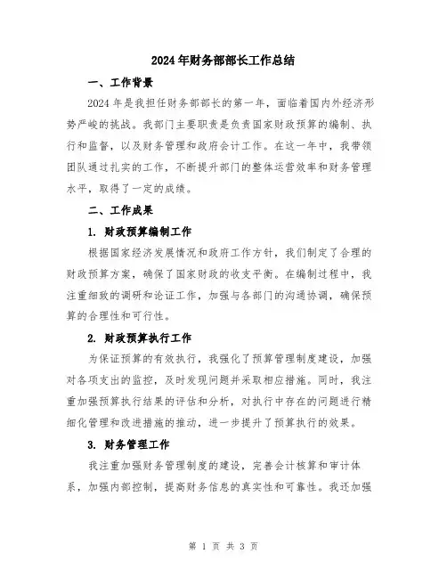 2024年财务部部长工作总结