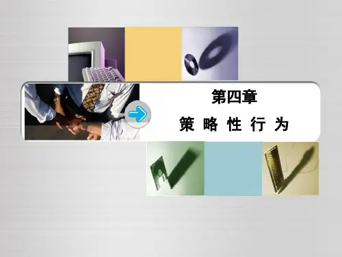 产业经济学策略性行为