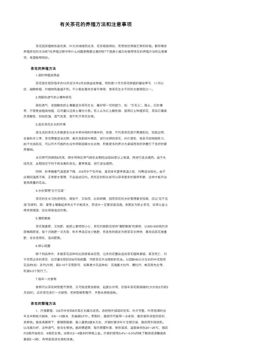 有关茶花的养殖方法和注意事项