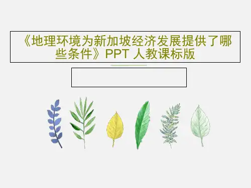 《地理环境为新加坡经济发展提供了哪些条件》PPT 人教课标版共41页