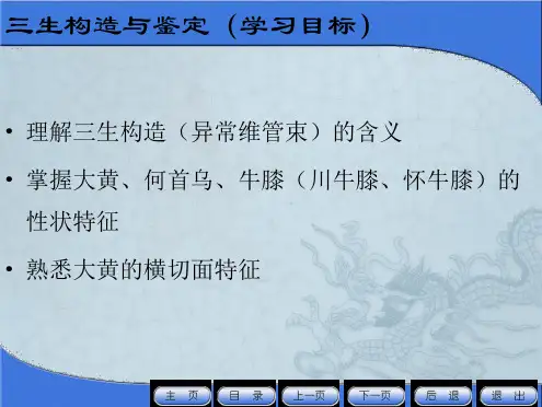 根及根茎类药材鉴定(异常结构与大黄、何首乌、牛膝的鉴定).