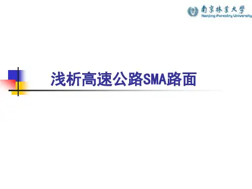 浅析高速公路SMA路面【精选】