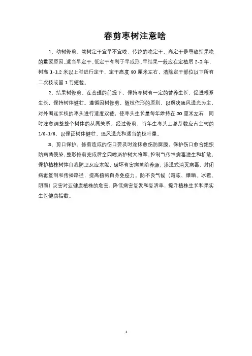 春剪枣树注意啥