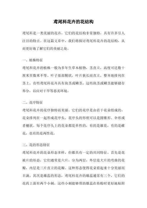 鸢尾科花卉的花结构