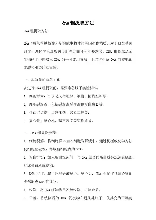 dna粗提取方法
