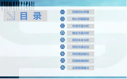 项目招商策划案(1).ppt