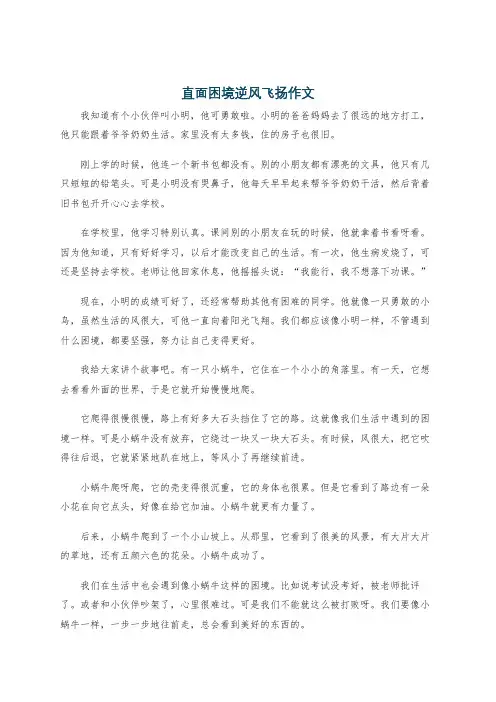 直面困境逆风飞扬作文