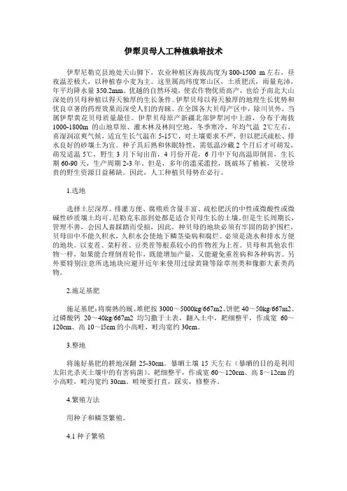 伊犁贝母人工种植栽培技术