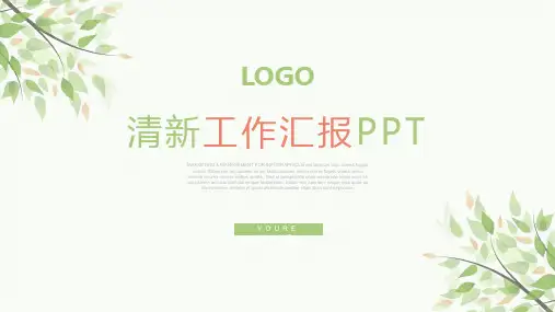 小清新工作总结汇报PPt模版