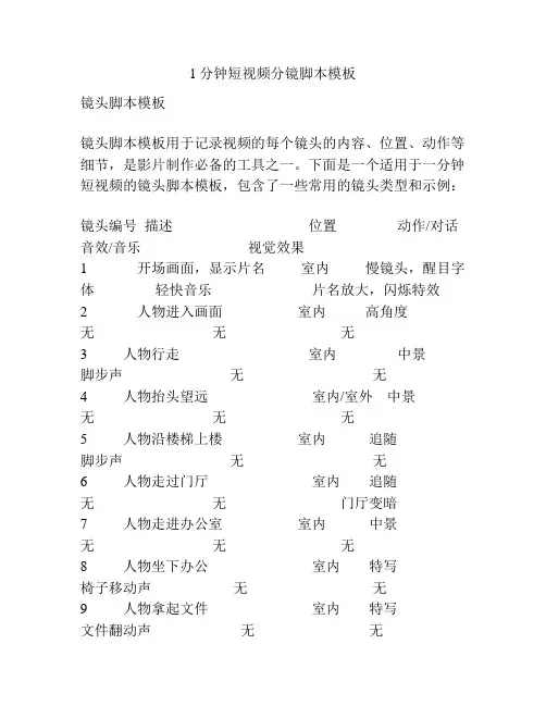 1分钟短视频分镜脚本模板