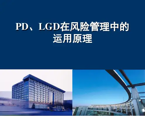 PD、LGD在风险管理中的运用原理