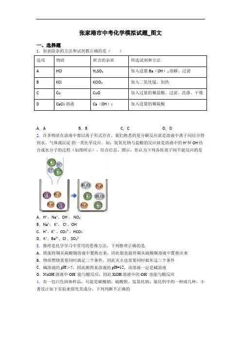 张家港市中考化学模拟试题_图文