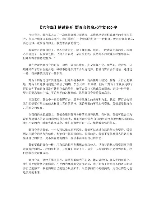 【六年级】错过花开 野百合的启示作文600字