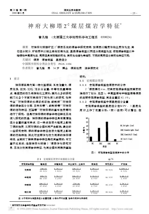 神府大柳塔2_2_煤层煤岩学特征