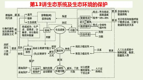 2024届高考生物二轮复习-生态系统及生态环境的保护课件
