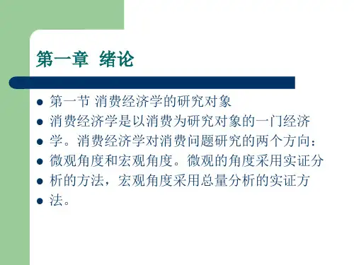 消费经济学