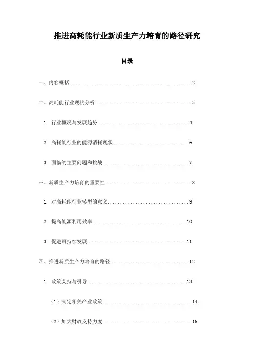 推进高耗能行业新质生产力培育的路径研究