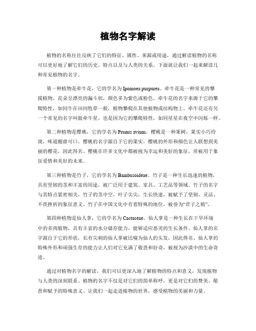 植物名字解读