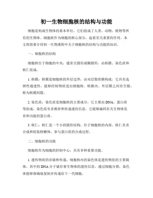 初一生物细胞核的结构与功能