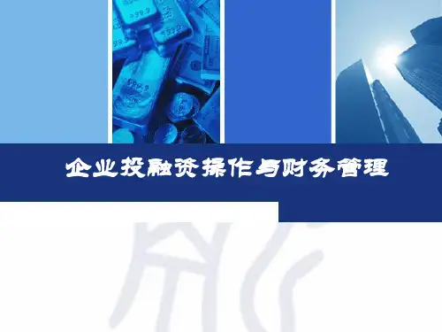 企业投融资操作与财务管理(ppt 201页)