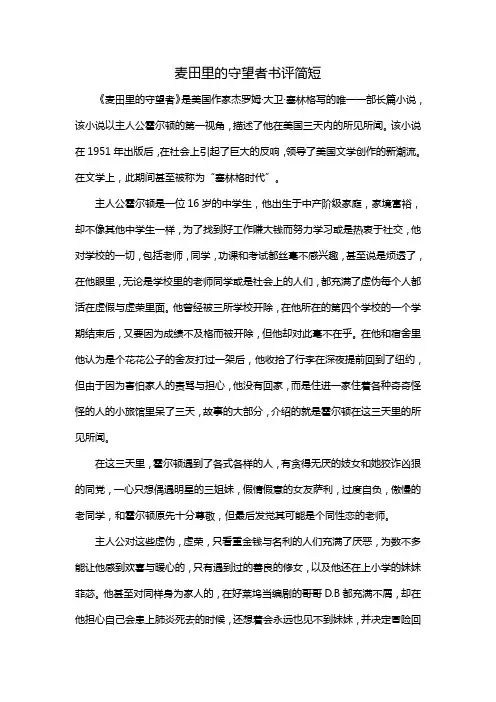 麦田里的守望者书评简短