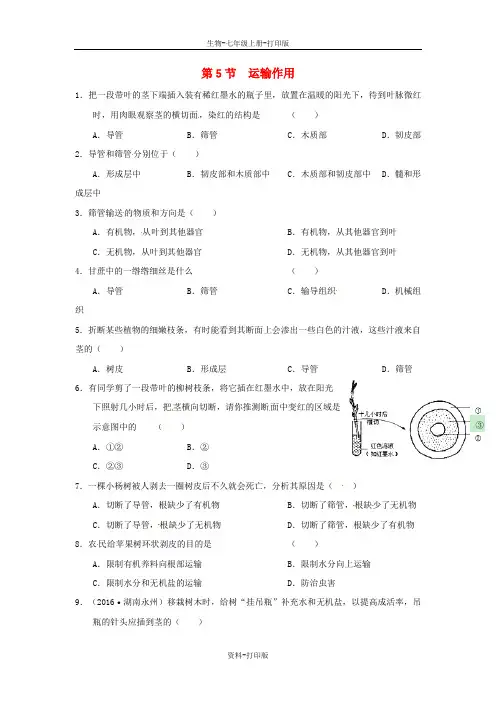 北师大版生物-七年级上册3.5.5 运输作用同步练习