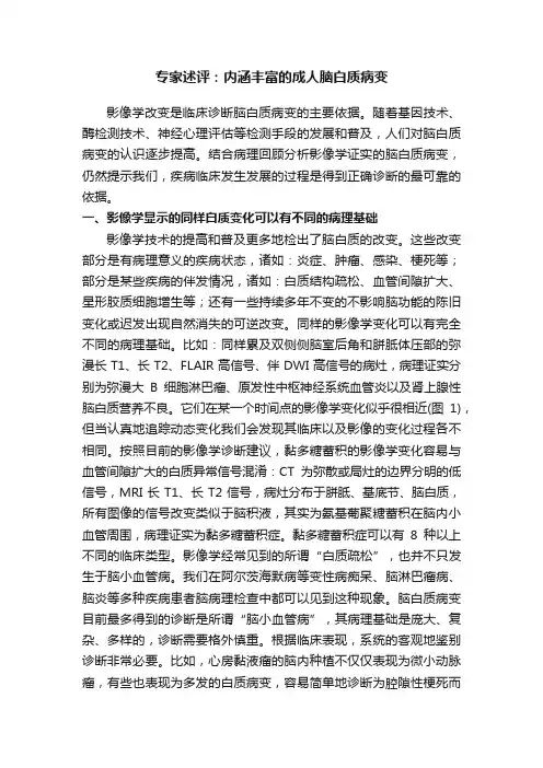 专家述评：内涵丰富的成人脑白质病变