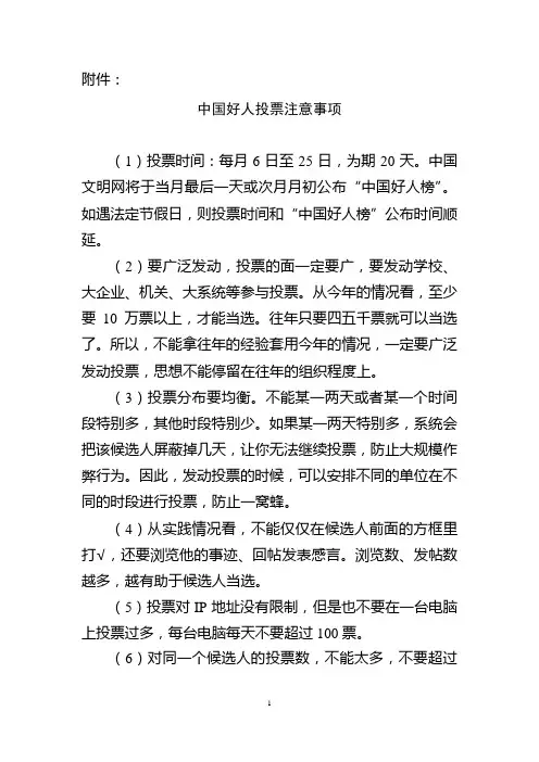 中国好人投票注意事项