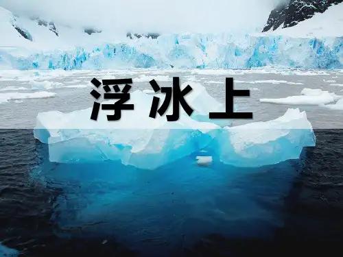 浮冰上_精品文档