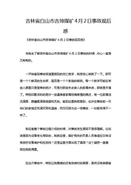吉林省白山市吉坤煤矿4月2日事故观后感