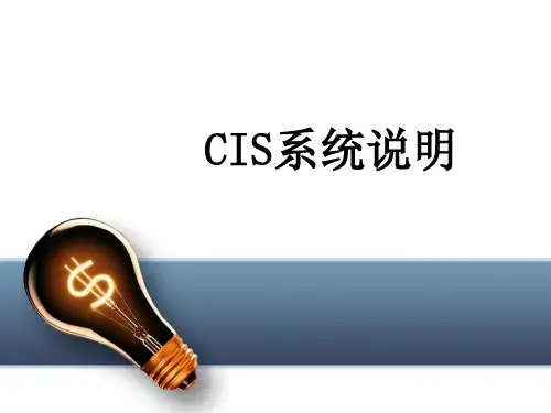 CIS项目解析及说明