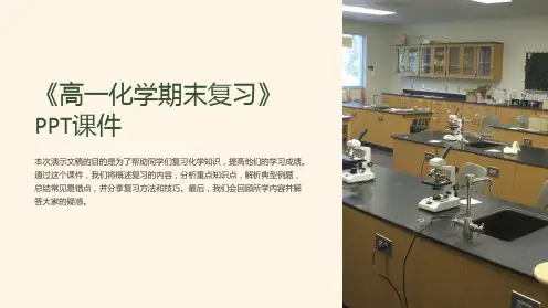 《高一化学期末复习》课件
