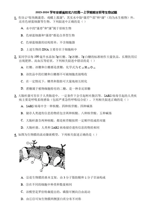 2023-2024学年安徽省皖北六校高一上学期期末联考生物试题