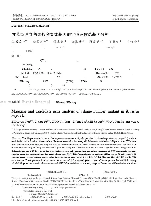 甘蓝型油菜角果数突变体基因的定位及候选基因分析