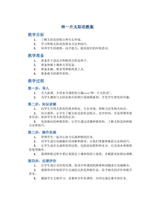 种一片太阳花教案