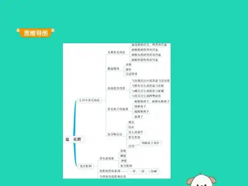 2019年九年级化学下册第十一单元盐化肥课题1生活中常见的盐课件(新版)新人教版