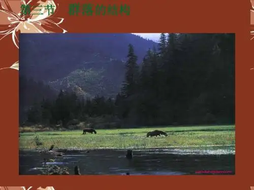 高中生物《第四章 第三节 群落的结构》课件7 新人教版必修3