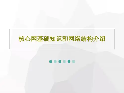 核心网基础知识和网络结构介绍共66页文档