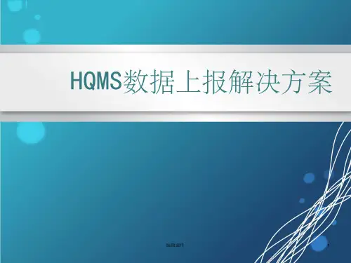 HQMS数据上报系统