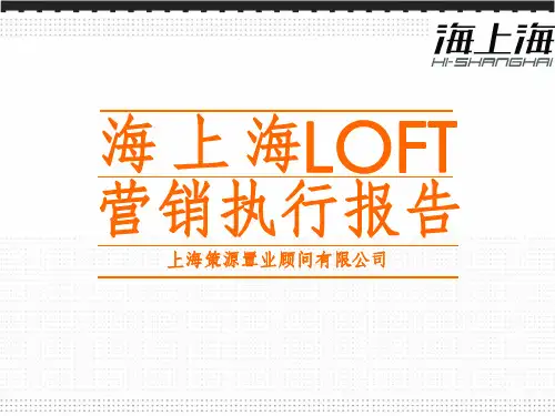 《LOFT营销执行报告》