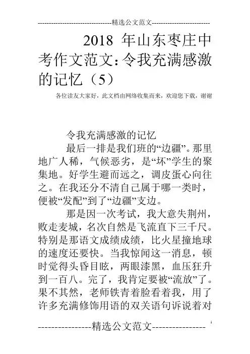 2018年山东枣庄中考作文范文：令我充满感激的记忆(5)