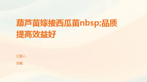 葫芦苗嫁接西瓜苗nbsp;品质提高效益好