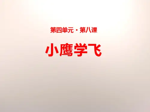《小鹰学飞》-PPT标准课件