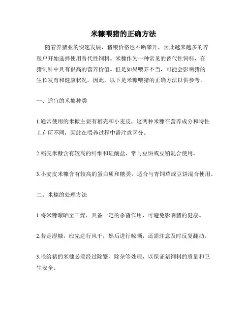 米糠喂猪的正确方法