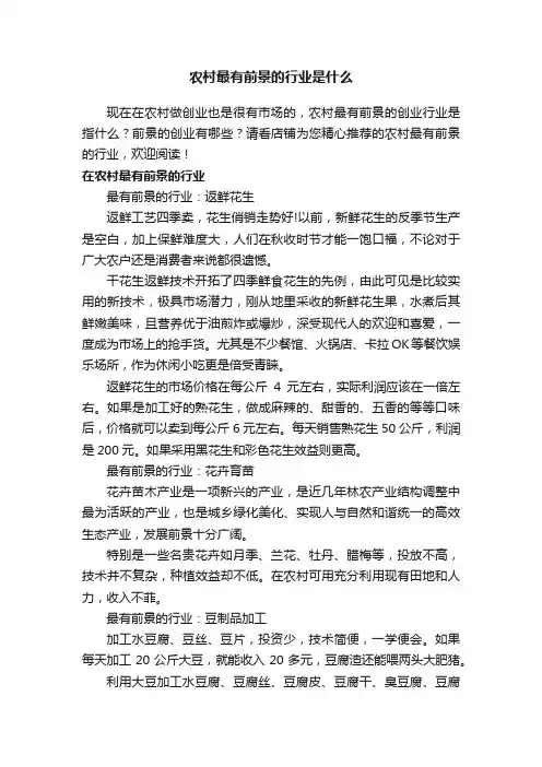 农村最有前景的行业是什么
