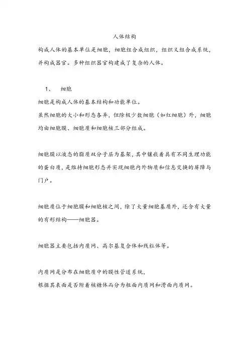 人体结构(公共营养师)